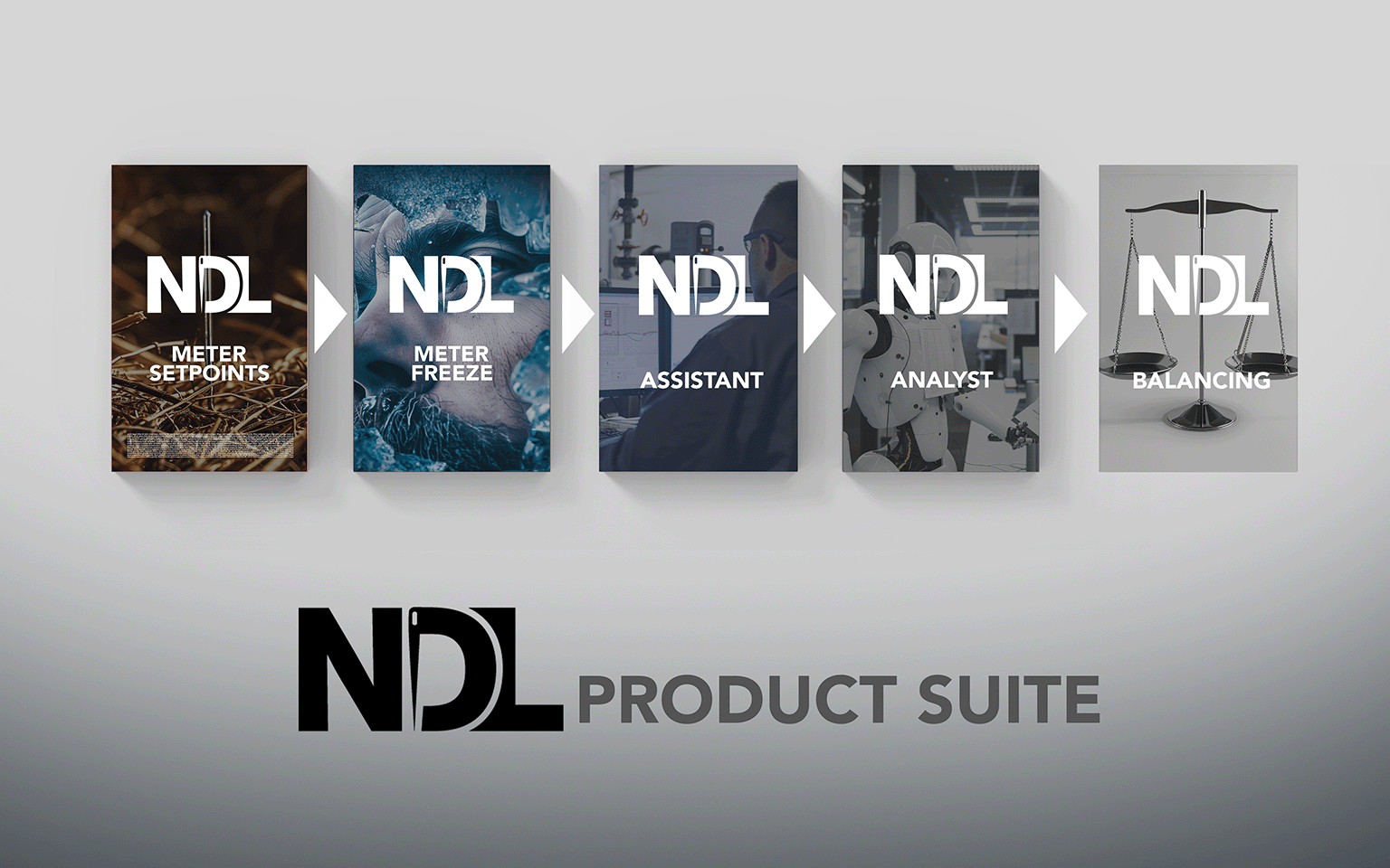 NDL Product Suite overview showing all five products